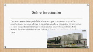 Sobre forestación
Este extremo también perjudicial al entorno, pues demasiada vegetación
absorbe todos los minerales de la superficie donde se encuentra. De este modo
el suelo se queda sin minerales suficientes para su propio desarrollo. Una
manera de evitar esto consiste en utilizar la Rotación de cultivos adecuada a la
zona.
 