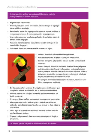 16
¡Aprendamos a cuidar el medio ambiente!
Reciclar significa utilizar los residuos sólidos como materia
prima para fabricar nuevos productos.
Los árboles y todas las plantas acumulan bióxido de carbono.
•	 Elige envases retornables.
•	 Prefiere productos cuyos envases de plástico tengan el logotipo
de reciclable o reciclado.
•	 Reutiliza las bolsas del súper para las compras, separar residuos y
recoger excrementos de tu mascota, entre otras opciones.
•	 Usa moderadamente servilletas, pañuelos desechables, papel de
baño y bolsas de papel.
•	 Adquiere manteles de tela o de plástico lavable en lugar de los
desechables de papel.
•	 Usa trapos de cocina para secarte las manos y la vajilla.
•	 Compra productos de limpieza biodegradables.
•	 Reduce el consumo de papel y úsalo por ambos lados.
•	 Compra bolígrafos y lapiceros a los que puedas cambiarles el
repuesto.
•	 Nunca compres productos derivados de especies en peligro de
extinción, como corales, carey, huevos de tortuga, plumas de
aves o pieles de animales. Hay artículos como zapatos, bolsas o
cinturones producidos con especies provenientes de criaderos
legales; revisa la etiqueta de certificación.
•	 No compres animales exóticos como mascotas, necesitan vivir
libres en su propio ambiente.
•	 En Navidad prefiere un árbol de una plantación certificada y que
cumpla las normas establecidas por la autoridad competente.
•	 Prefiere árboles con raíz para plantarlos posteriormente en un
jardín o maceta.
•	 Si compras flores, prefiere las que estén en maceta; no las cortadas.
•	 Al comprar ropa revisa en la etiqueta con qué materiales se
elaboró y las indicaciones de lavado; una prenda te dura más si la
cuidas bien.
•	 Dona ropa en buen estado a quien la necesite o intercámbiala
con familiares y amigos.
•	 Si ya no está para vestir dale otros usos, como para la limpieza
en general.
 