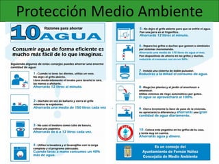 Protección Medio Ambiente
 