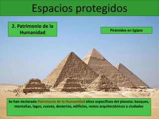 Espacios protegidos
2. Patrimonio de la
Humanidad
Se han declarado Patrimonio de la Humanidad sitios específicos del planeta: bosques,
montañas, lagos, cuevas, desiertos, edificios, restos arquitectónicos o ciudades
Pirámides en Egipto
 