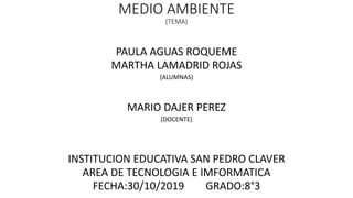 MEDIO AMBIENTE
(TEMA)
PAULA AGUAS ROQUEME
MARTHA LAMADRID ROJAS
(ALUMNAS)
MARIO DAJER PEREZ
(DOCENTE)
INSTITUCION EDUCATIVA SAN PEDRO CLAVER
AREA DE TECNOLOGIA E IMFORMATICA
FECHA:30/10/2019 GRADO:8°3
 