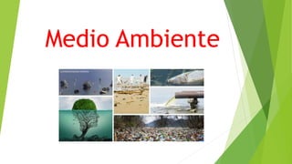 Medio Ambiente
 