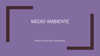 MEDIO AMBIENTE
María Ximena Ruíz Hernández.
 