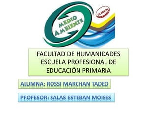 FACULTAD DE HUMANIDADES
ESCUELA PROFESIONAL DE
EDUCACIÓN PRIMARIA
 
