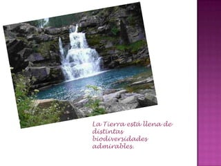 La Tierra está llena de
distintas
biodiversidades
admirables.
 