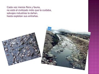 Cada vez menos flora y fauna,
no está el civilizado indio que la cuidaba,
salvajes industrias la dañan,
hasta explotan sus entrañas.
 