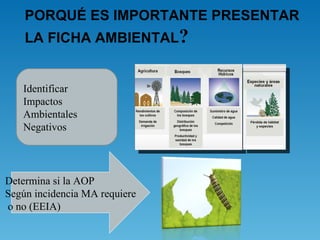 PORQUÉ ES IMPORTANTE PRESENTAR
    LA FICHA AMBIENTAL?


   Identificar
   Impactos
   Ambientales
   Negativos




Determina si la AOP
Según incidencia MA requiere
o no (EEIA)
 