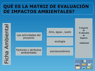 QUÉ ES LA MATRIZ DE EVALUACIÓN
DE IMPACTOS AMBIENTALES?


                          Categoría
                             de
                          Evaluación
                             de
                           Impacto

                          Ambiental
 