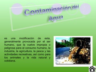 es una modificación de esta,
generalmente provocada por el ser
humano, que la vuelve impropia o
peligrosa para el consumo humano, la
industria, la agricultura, la pesca y las
actividades recreativas, así como para
los animales y la vida natural y
cotidiana.
 