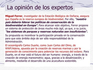 La opinión de los expertos Miguel Ferrer , investigador de la Estación Biológica de Doñana, asegura que España es la reserva europea de biodiversidad . Por ello,  "nuestro país debería liderar las políticas de conservación de la biodiversidad en Europa".  Para alcanzar este objetivo, Ferrer propone un sistema de protección de áreas mucho más ágil, ya que, a su juicio,  "los sistemas de parques y reservas naturales son insuficientes". Su propuesta es incentivar la participación privada en la conservación para que este ámbito deje de ser sólo responsabilidad de la Administración.  El oceanógrafo Carlos Duarte, como Juan Carlos del Olmo, de WWF/Adena, apuesta por la creación de reservas marinas y por la generación de conocimiento para potenciar los recursos del océano.  Para Duarte, en el mar está el futuro del ser humano: energía, a través de la creación de energía mareomotriz; agua, gracias a la desalinización; y alimento, mediante el desarrollo de una acuicultura sostenible. 