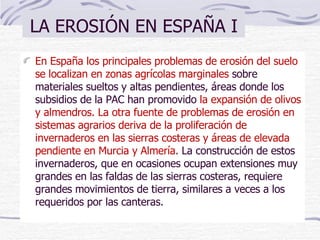 LA EROSIÓN EN ESPAÑA I En España los principales problemas de erosión del suelo se localizan en zonas agrícolas marginales  sobre materiales sueltos y altas pendientes, áreas donde los subsidios de la PAC han promovido  la expansión de olivos y almendros. La otra fuente de problemas de erosión en sistemas agrarios deriva de la proliferación de invernaderos en las sierras costeras y áreas de elevada pendiente en Murcia y Almería .  La construcción de estos invernaderos, que en ocasiones ocupan extensiones muy grandes en las faldas de las sierras costeras, requiere grandes movimientos de tierra, similares a veces a los requeridos por las canteras. 
