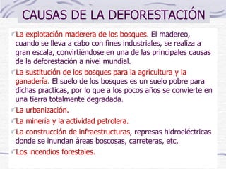 CAUSAS DE LA DEFORESTACIÓN La explotación maderera de los bosques .  El madereo, cuando se lleva a cabo con fines industriales, se realiza a gran escala, convirtiéndose en una de las principales causas de la deforestación a nivel mundial.  La sustitución de los bosques para la agricultura y la ganadería .  El suelo de los bosques es un suelo pobre para dichas practicas, por lo que a los pocos años se convierte en una tierra totalmente degradada.  La urbanización.  La minería y la actividad petrolera.  La construcción de infraestructuras ,   represas hidroeléctricas donde se inundan áreas boscosas, carreteras, etc.  Los incendios forestales. 