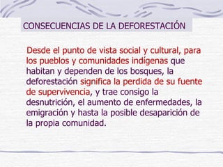 CONSECUENCIAS DE LA DEFORESTACIÓN Desde el punto de vista social y cultural, para los pueblos y comunidades indígenas  que habitan y dependen de los bosques, la deforestación  significa la perdida de su fuente de supervivencia , y trae consigo la desnutrición, el aumento de enfermedades, la emigración y hasta la posible desaparición de la propia comunidad. 