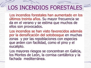 LOS INCENDIOS FORESTALES Los incendios forestales han  aumentado  en los últimos treinta años .  Su mayor frecuencia se da en el verano y se estima que muchos de ellos son provocados.  Los incendios se han visto favorecidos además por la densificación del sotobosque  en muchas zonas  y por las repoblaciones con especies que arden con facilidad, como el pino y el eucalipto.  Los mayores riesgos se concentran en Galicia, los Montes de León, la cornisa cantábrica y la fachada  mediterránea. 