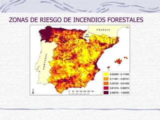 ZONAS DE RIESGO DE INCENDIOS FORESTALES 