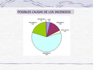 POSIBLES CAUSAS DE LOS INCENDIOS 