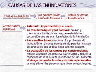 CAUSAS DE LAS INUNDACIONES  - Asfaltado :  impermeabiliza el suelo. - La tala de bosques y los cultivos :  erosión y transporte a través de los ríos, de materiales en suspensión que agravan los efectos de la inundación.  - Las canalizaciones  solucionan los problemas de inundación en algunos tramos del río pero los agravan en otros a los que el agua llega con más rapidez. - La ocupación de los cauces por construcciones  reduce la sección útil para evacuar el agua y reduce la capacidad de la llanura de inundación del río. Aumenta  el riesgo de perder la vida y de daños personales  es muy alto en las personas que viven en esos lugares.  ACTIVIDADES HUMANAS  - Las grandes lluvias - Fusión de las nieves CAUSAS NATURALES - Rotura de presas - Inundaciones 