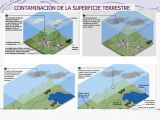 CONTAMINACIÓN DE LA SUPERFICIE TERRESTRE 