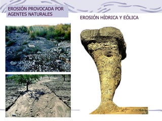 EROSIÓN PROVOCADA POR AGENTES NATURALES EROSIÓN HÍDRICA Y EÓLICA 