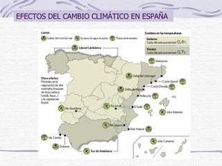 EFECTOS DEL CAMBIO CLIMÁTICO EN ESPAÑA 