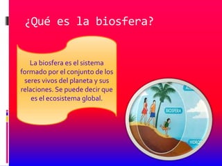 ¿Qué es la biosfera?
La biosfera es el sistema
formado por el conjunto de los
seres vivos del planeta y sus
relaciones. Se puede decir que
es el ecosistema global.
 