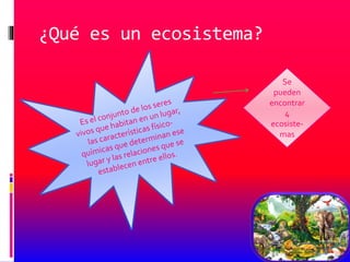 ¿Qué es un ecosistema?
Se
pueden
encontrar
4
ecosiste-
mas
 