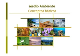 Medio AmbienteMedio Ambiente
Conceptos básicos
 