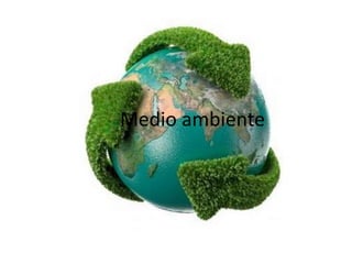 Medio ambiente
 