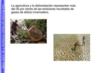 la elección de bienes y servicios Día Mundial del Medio Ambiente 5 de Junio 2008 Pagamos un precio muy alto por la poca conciencia ciudadana.  