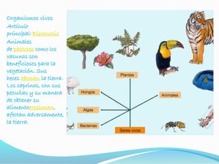 Organismos vivos
Artículo
principal: Biocenosis
Animales
de pastoreo como los
vacunos son
beneficiosos para la
vegetación. Sus
heces abonan la tierra.
Los caprinos, con sus
pezuñas y su manera
de obtener su
alimentoerosionan,
afectan adversamente,
la tierra.
 