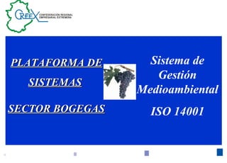 PLATAFORMA DE      Sistema de
                    Gestión
  SISTEMAS
                 Medioambiental
SECTOR BOGEGAS     ISO 14001


                               1
 