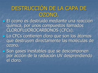DESTRUCCIÓN DE LA CAPA DE 
OZONO. 
 El ozono es destruido mediante una reacción 
química, por unos compuestos llamados 
CLOROFLUOROCARBONOS (CFCs). 
 Lo CFCs contienen cloro que son los átomos 
que destruyen directamente las moléculas de 
ozono. 
 Son gases inestables que se descomponen 
por acción de la radiación UV desprendiendo 
el cloro. 
 