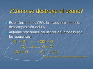 ¿Cómo se destruye el ozono? 
 Es el cloro de los CFCs los causantes de esta 
descomposición del O3. 
 Algunas reacciones causantes del proceso son 
las siguientes: 
Cl + O3 ClO + O2 
O2 
RUV O + O 
ClO + O Cl + O2 
se libera el cloro que vuelve a destruir más moléculas de ozono 
 