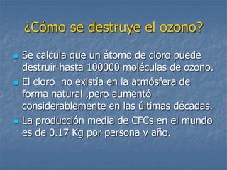 ¿Cómo se destruye el ozono? 
 Se calcula que un átomo de cloro puede 
destruir hasta 100000 moléculas de ozono. 
 El cloro no existía en la atmósfera de 
forma natural ,pero aumentó 
considerablemente en las últimas décadas. 
 La producción media de CFCs en el mundo 
es de 0.17 Kg por persona y año. 
 