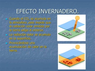 EFECTO INVERNADERO. 
 Cuando el CO2 se acumula en 
la atmósfera ,este impide que 
la radiación solar emitida por 
la tierra salga al exterior. 
 La radiación solar se acumula 
en la superficie. 
 Provocándose una 
acumulación de calor en la 
tierra. 
 
