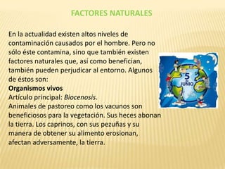 FACTORES NATURALES

En la actualidad existen altos niveles de
contaminación causados por el hombre. Pero no
sólo éste contamina, sino que también existen
factores naturales que, así como benefician,
también pueden perjudicar al entorno. Algunos
de éstos son:
Organismos vivos
Artículo principal: Biocenosis.
Animales de pastoreo como los vacunos son
beneficiosos para la vegetación. Sus heces abonan
la tierra. Los caprinos, con sus pezuñas y su
manera de obtener su alimento erosionan,
afectan adversamente, la tierra.
 