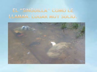 EL “SINGUILLA” COMO LE LLAMAN. LUGAR MUY SUCIO.
