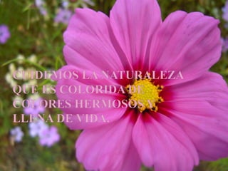 Medio ambiente en peligro