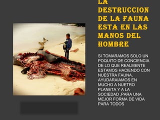 LA
DESTRUCCION
DE LA FAUNA
ESTA EN LAS
MANOS DEL
HOMBRE
SI TOMARAMOS SOLO UN
POQUITO DE CONCIENCIA
DE LO QUE REALMENTE
ESTAMOS HACIENDO CON
NUESTRA FAUNA,
AYUDARAIAMOS EN
MUCHO A NUETRO
PLANETA Y A LA
SOCIEDAD ,PARA UNA
MEJOR FORMA DE VIDA
PARA TODOS
 