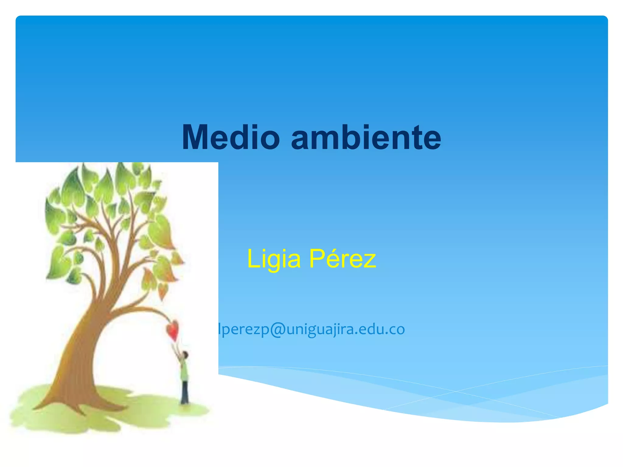 Medio ambiente
Ligia Pérez
lperezp@uniguajira.edu.co