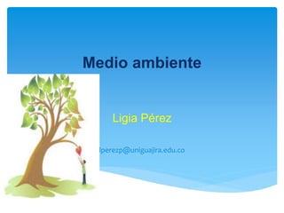 Medio ambiente
Ligia Pérez
lperezp@uniguajira.edu.co
 