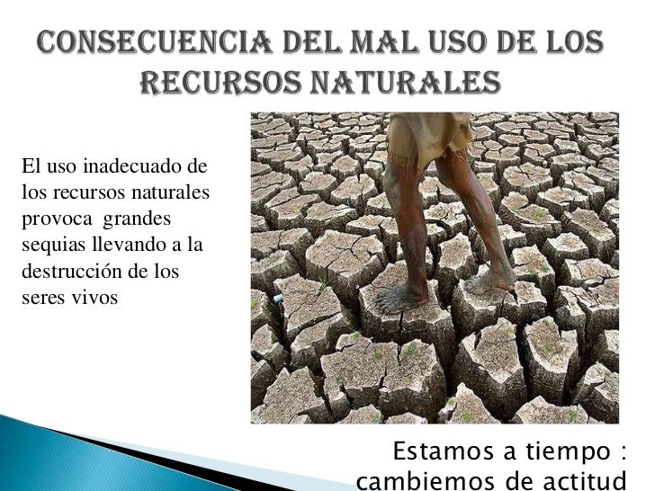 Medio Ambiente Maribel