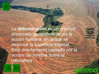 La  deforestación  es un proceso provocado generalmente por la acción humana, en la que se destruye la superficie forestal. Está directamente causada por la acción del hombre sobre la naturaleza  DEFORESTACION  