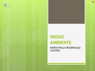 MEDIO
AMBIENTE
MARIA PAULA RODRIGUEZ
CASTRO
 