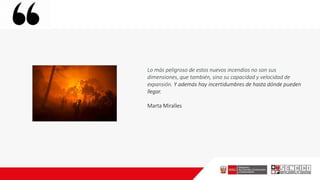 Lo más peligroso de estos nuevos incendios no son sus
dimensiones, que también, sino su capacidad y velocidad de
expansión. Y además hay incertidumbres de hasta dónde pueden
llegar.
Marta Miralles
 