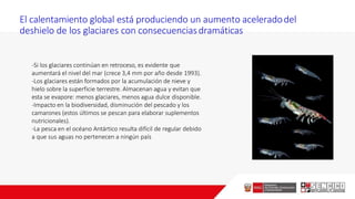El calentamiento global está produciendo un aumento aceleradodel
deshielo de los glaciares con consecuenciasdramáticas
-Si los glaciares continúan en retroceso, es evidente que
aumentará el nivel del mar (crece 3,4 mm por año desde 1993).
-Los glaciares están formados por la acumulación de nieve y
hielo sobre la superficie terrestre. Almacenan agua y evitan que
esta se evapore: menos glaciares, menos agua dulce disponible.
-Impacto en la biodiversidad, disminución del pescado y los
camarones (estos últimos se pescan para elaborar suplementos
nutricionales).
-La pesca en el océano Antártico resulta difícil de regular debido
a que sus aguas no pertenecen a ningún país
 