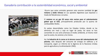 Ganadería contribución a la sostenibilidad económica, social yambiental
Ocurre que estos animales generan esta enorme cantidad de gas
metano y óxido nitroso en sus aparatos digestivos que expulsan a
través de flatulencias o eructos.
El metano es un gas 20 veces más nocivo para el calentamiento
global que el CO2, principalmente producido por la quema de
combustibles fósiles.
En países desarrollados como los Estados Unidos, donde se las
alimenta con maíz y soja en lugar de pasto, las vacas se han
convertido en una seria amenaza al medio ambiente, al mismo nivel
que los autos, los aviones y los trenes.
Así, la industria de la carne es la tercera causa del calentamiento del
planeta, sólo después del consumo de energía en edificios y el
transporte, según un informe de la Agencia de la Naciones Unidas
para la agricultura y la alimentación (FAO).
 
