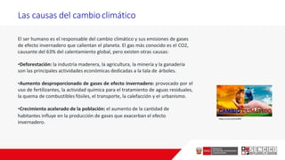 Las causas del cambioclimático
El ser humano es el responsable del cambio climático y sus emisiones de gases
de efecto invernadero que calientan el planeta. El gas más conocido es el CO2,
causante del 63% del calentamiento global, pero existen otras causas:
•Deforestación: la industria maderera, la agricultura, la minería y la ganadería
son las principales actividades económicas dedicadas a la tala de árboles.
•Aumento desproporcionado de gases de efecto invernadero: provocado por el
uso de fertilizantes, la actividad química para el tratamiento de aguas residuales,
la quema de combustibles fósiles, el transporte, la calefacción y el urbanismo.
•Crecimiento acelerado de la población: el aumento de la cantidad de
habitantes influye en la producción de gases que exacerban el efecto
invernadero.
https://cutt.ly/DuhI9P6
 