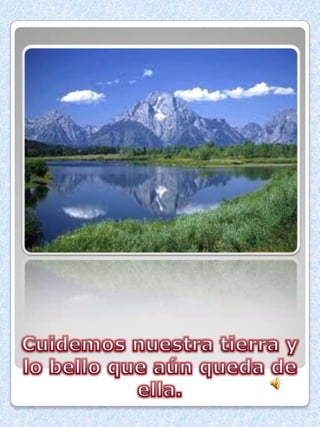 Medio ambiente tania