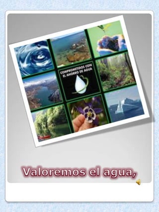 Medio ambiente tania